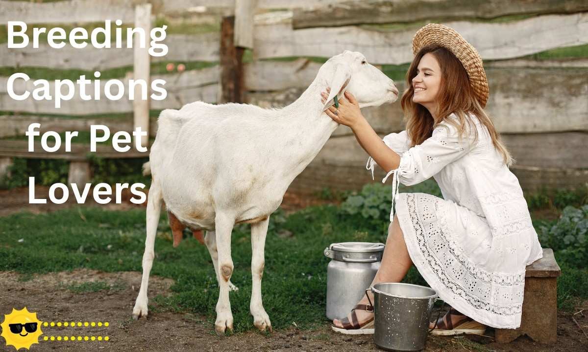 Breeding Captions for Pet Lovers