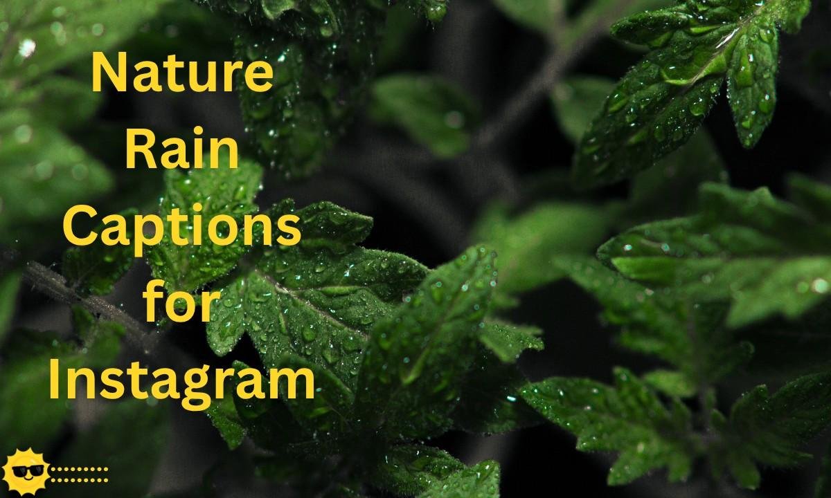 A peaceful and aesthetic collection of Rain Captions for Instagram inspired by natural beauty, greenery, and calming rainy day vibes. 🌧️🌿📸